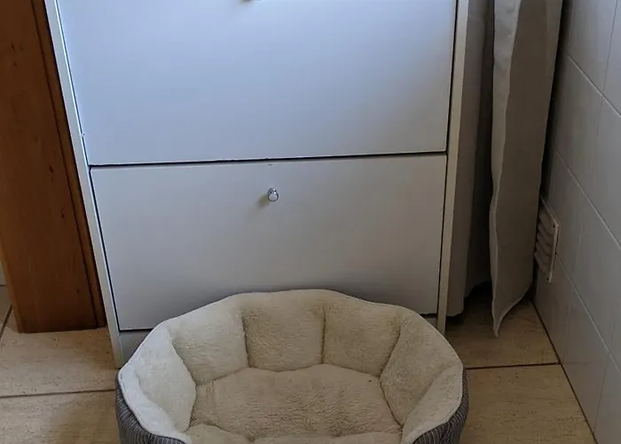 Daire Sea And Nature Escape Furadouro